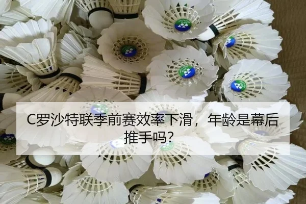 luo-sha-te-lian-ji-qian-sai-xiao-lv-xia-hua-nian-ling-shi-mu-hou-tui-shou-ma-3-719.jpg